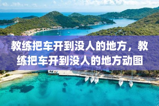 教练把车开到没人的地方，教练把车开到没人的地方动图