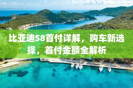 比亚迪S8首付详解，购车新选择，首付金额全解析