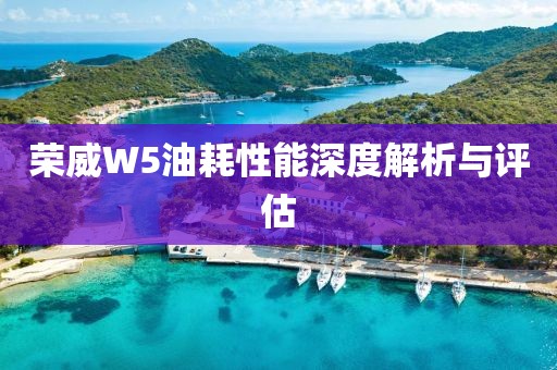 荣威W5油耗性能深度解析与评估