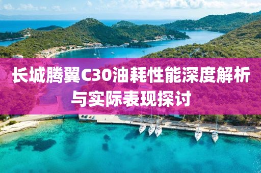 长城腾翼C30油耗性能深度解析与实际表现探讨