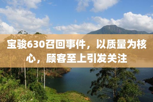 宝骏630召回事件，以质量为核心，顾客至上引发关注