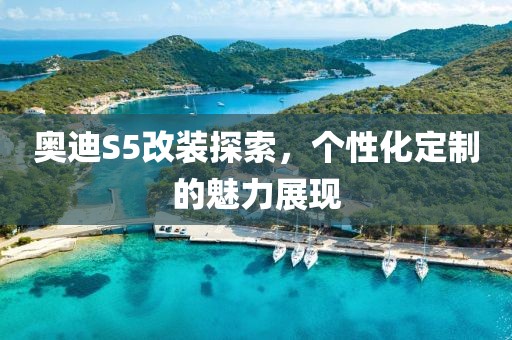 奥迪S5改装探索，个性化定制的魅力展现