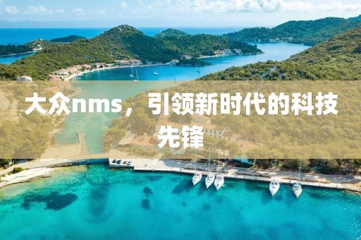 大众nms，引领新时代的科技先锋