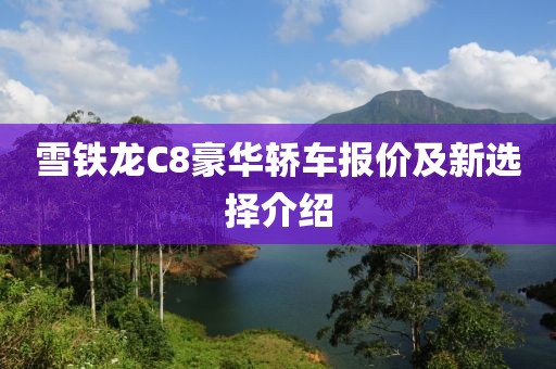 雪铁龙C8豪华轿车报价及新选择介绍