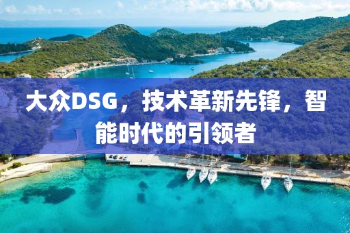 大众DSG，技术革新先锋，智能时代的引领者