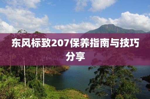 东风标致207保养指南与技巧分享