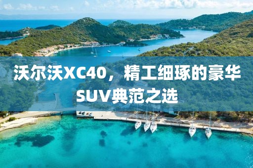 沃尔沃XC40，精工细琢的豪华SUV典范之选