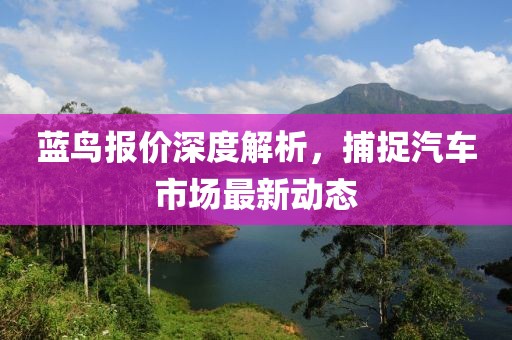 蓝鸟报价深度解析，捕捉汽车市场最新动态