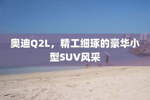 奥迪Q2L，精工细琢的豪华小型SUV风采