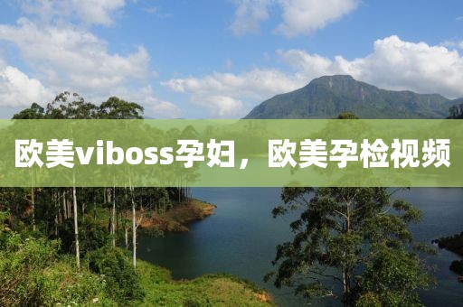 欧美viboss孕妇，欧美孕检视频