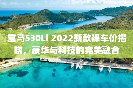 宝马530Li 2022新款裸车价揭晓，豪华与科技的完美融合