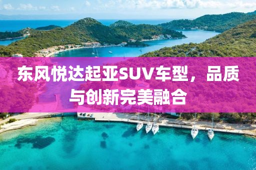 东风悦达起亚SUV车型，品质与创新完美融合