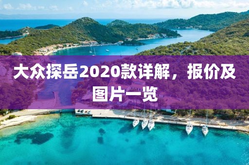 大众探岳2020款详解，报价及图片一览