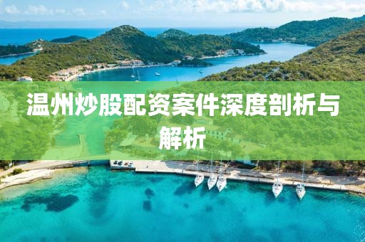 温州炒股配资案件深度剖析与解析