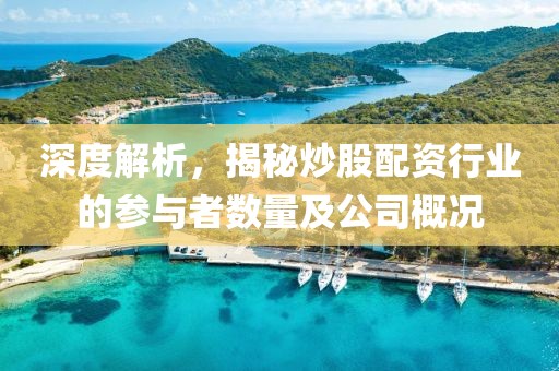 深度解析，揭秘炒股配资行业的参与者数量及公司概况