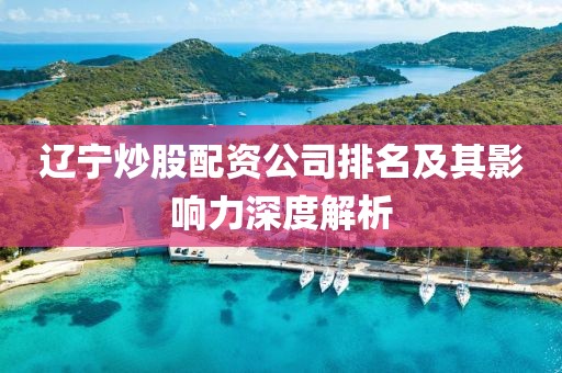 辽宁炒股配资公司排名及其影响力深度解析