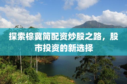 探索棕冀简配资炒股之路，股市投资的新选择