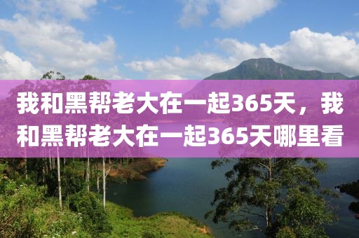 我和黑帮老大在一起365天，我和黑帮老大在一起365天哪里看