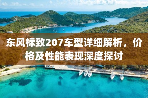 东风标致207车型详细解析，价格及性能表现深度探讨