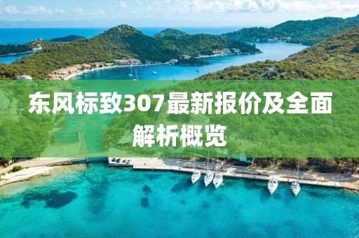 东风标致307最新报价及全面解析概览