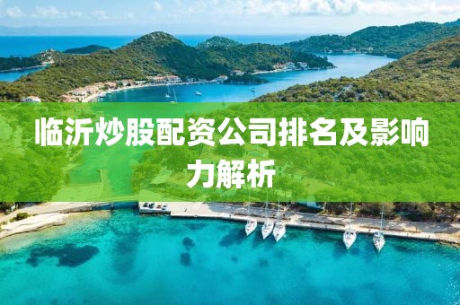 临沂炒股配资公司排名及影响力解析