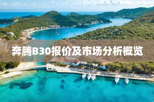 奔腾B30报价及市场分析概览