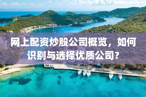 网上配资炒股公司概览，如何识别与选择优质公司？