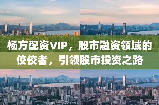 杨方配资VIP，股市融资领域的佼佼者，引领股市投资之路