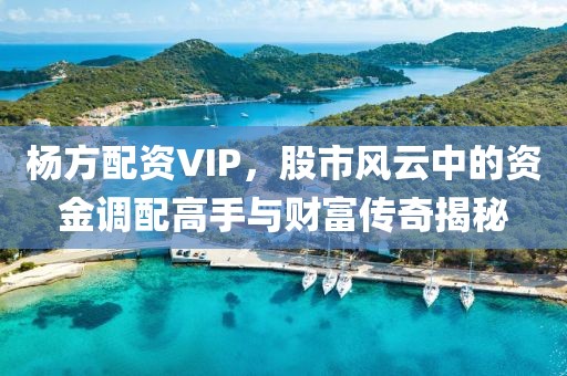 杨方配资VIP，股市风云中的资金调配高手与财富传奇揭秘