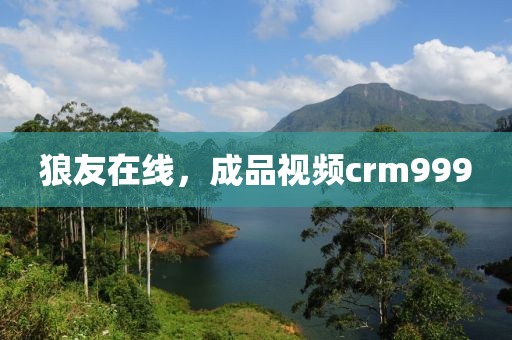 狼友在线，成品视频crm999