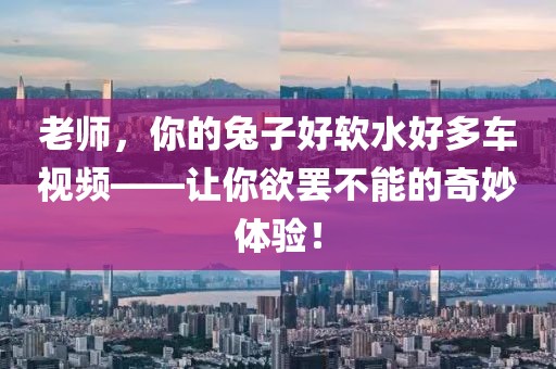 老师，你的兔子好软水好多车视频——让你欲罢不能的奇妙体验！