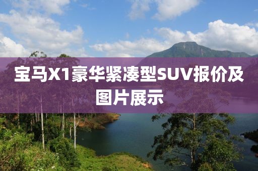 宝马X1豪华紧凑型SUV报价及图片展示