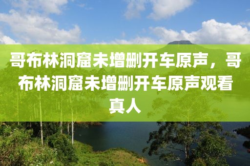 哥布林洞窟未增删开车原声，哥布林洞窟未增删开车原声观看真人