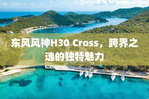 东风风神H30 Cross，跨界之选的独特魅力