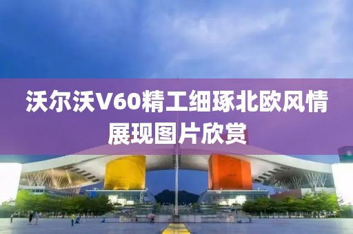 沃尔沃V60精工细琢北欧风情展现图片欣赏