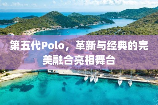 第五代Polo，革新与经典的完美融合亮相舞台