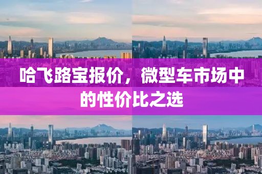 哈飞路宝报价，微型车市场中的性价比之选