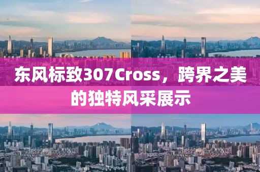 东风标致307Cross，跨界之美的独特风采展示