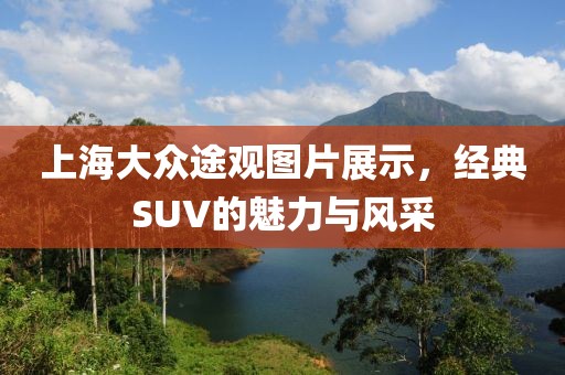 上海大众途观图片展示，经典SUV的魅力与风采