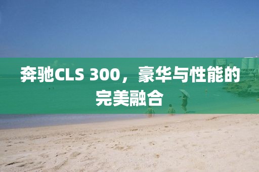 奔驰CLS 300，豪华与性能的完美融合