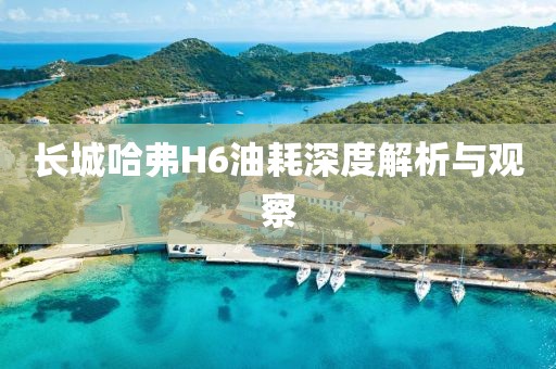 长城哈弗H6油耗深度解析与观察