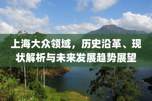 上海大众领域，历史沿革、现状解析与未来发展趋势展望