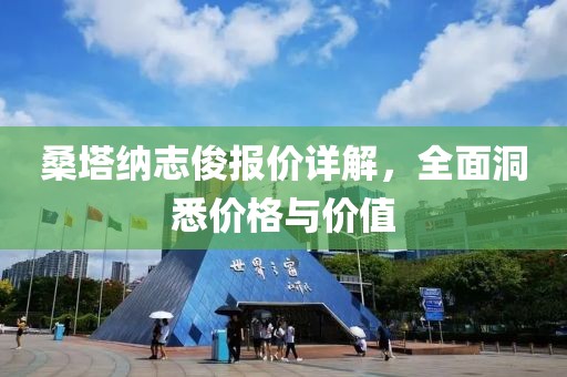 桑塔纳志俊报价详解，全面洞悉价格与价值