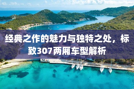 经典之作的魅力与独特之处，标致307两厢车型解析